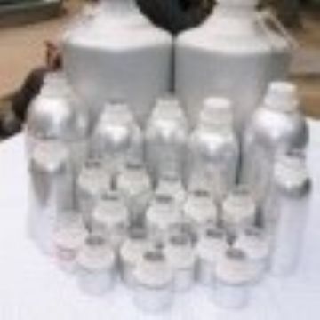 Testosterone Propionate